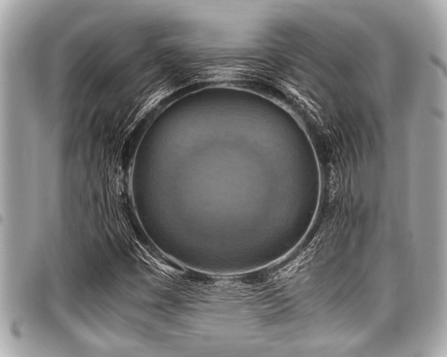 X0000098001449200803241331