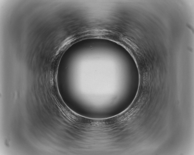 X0000098001451200803241331