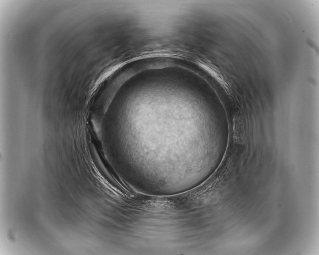 X0000098001452200803241331