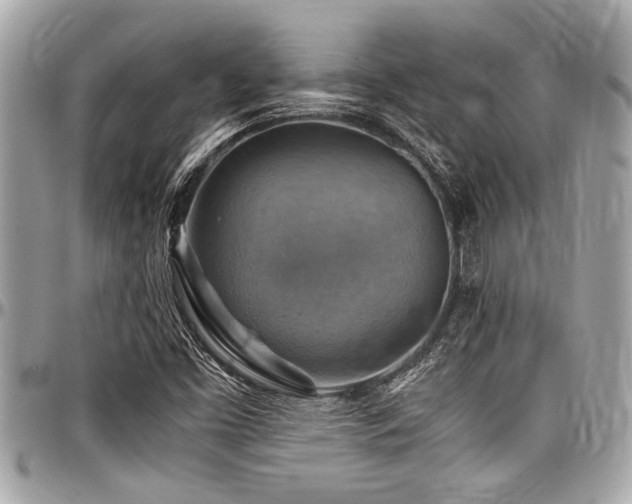 X0000098001453200803241331