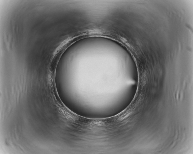 X0000098001454200803241331