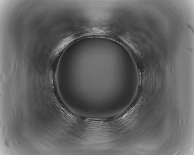 X0000098001455200803241331