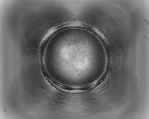 X0000098001456200803241331
