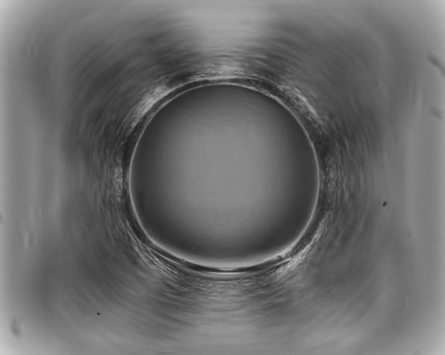 X0000098001457200803241331