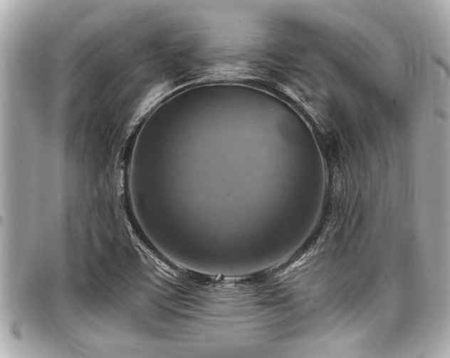 X0000098001459200803241331