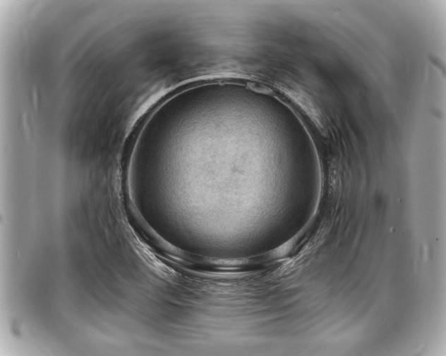 X0000098001460200803241331