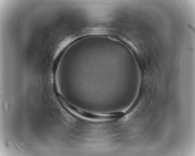 X0000098001461200803241331