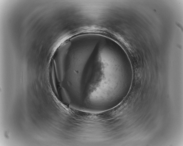 X0000098001463200803241331