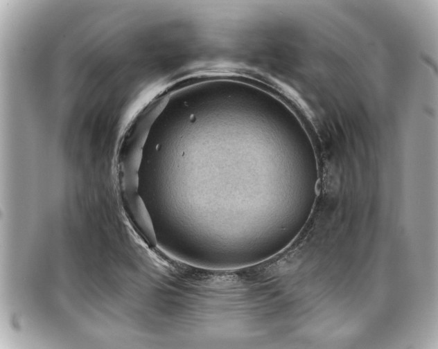 X0000098001464200803241331