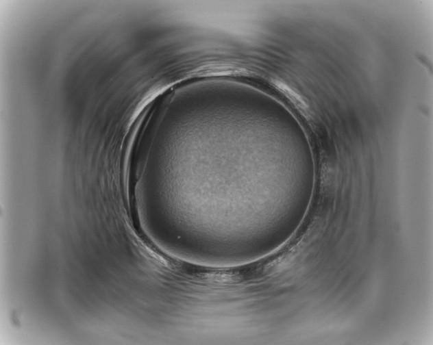 X0000098001465200803241331