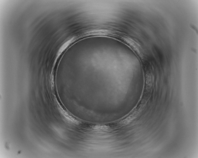 X0000098001466200803241331