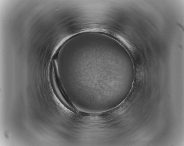 X0000098001468200803241331