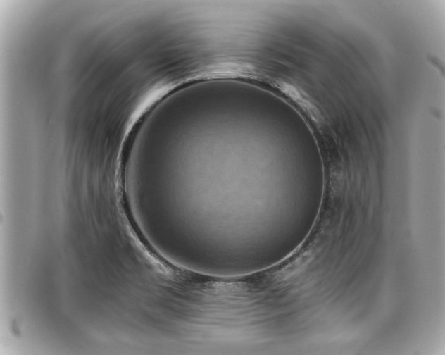 X0000098001469200803241331