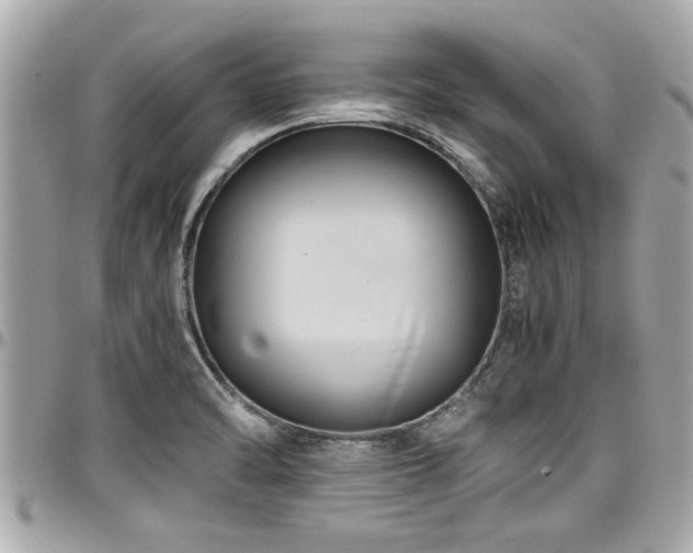 X0000098001470200803241331