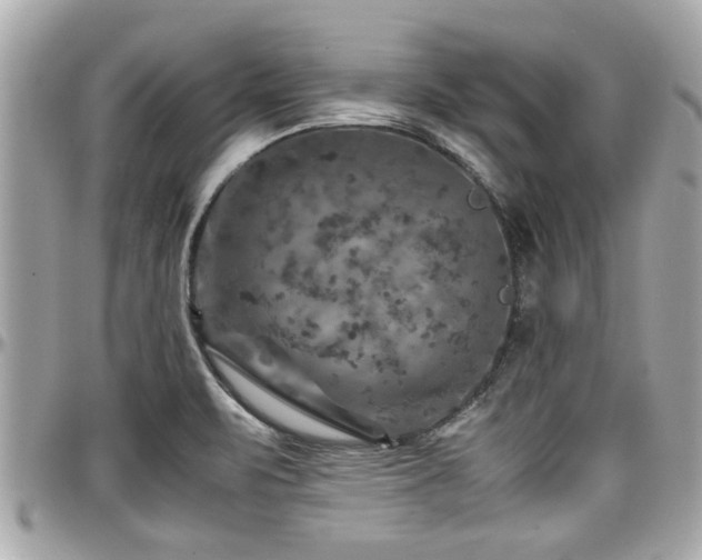 X0000098001471200803241331