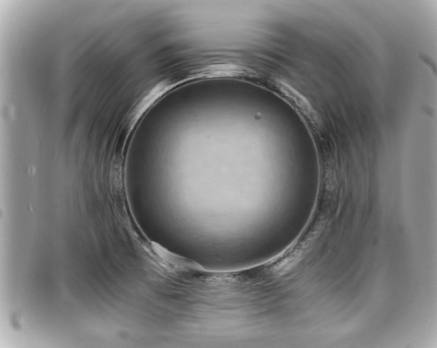 X0000098001473200803241331