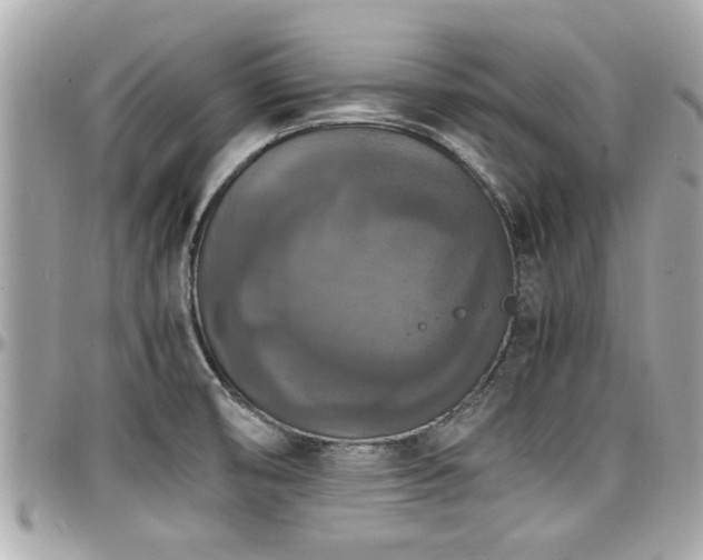 X0000098001474200803241331