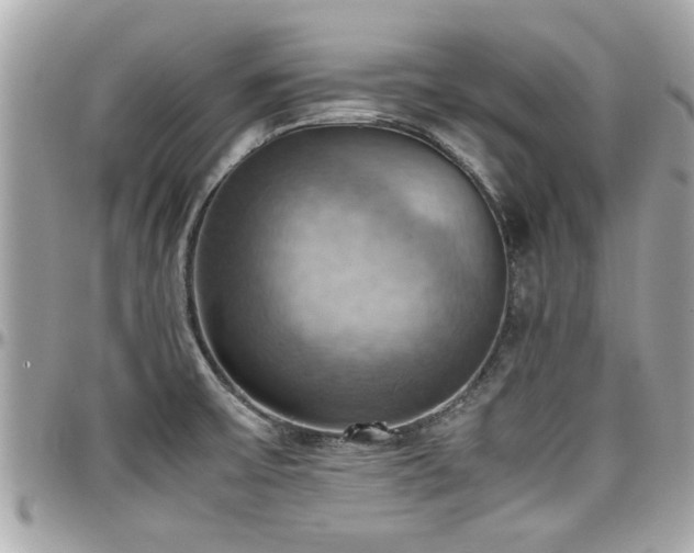 X0000098001475200803241331