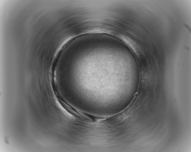 X0000098001476200803241331