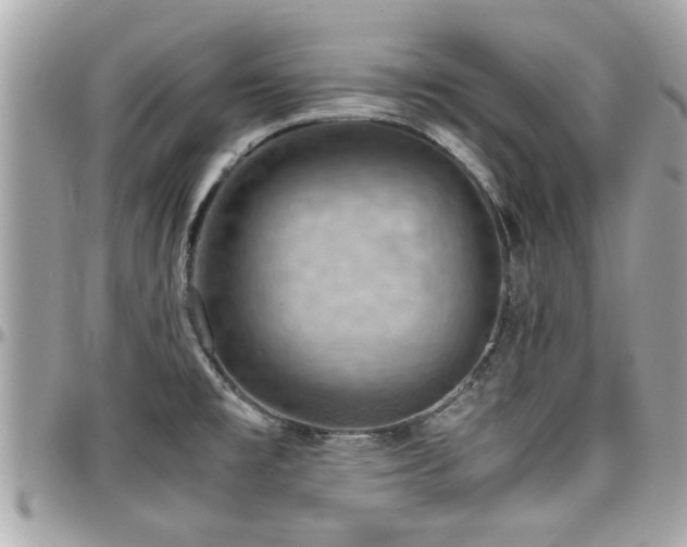 X0000098001477200803241330
