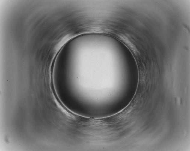 X0000098001479200803241330