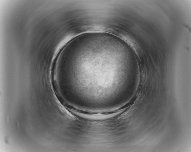 X0000098001480200803241330