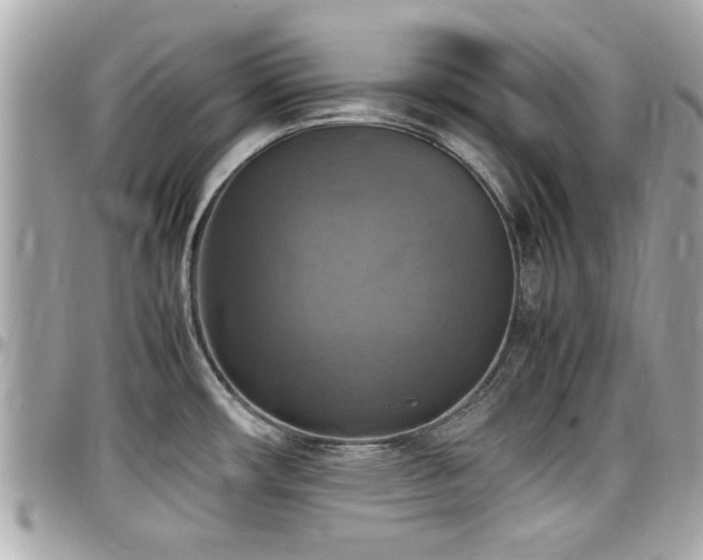 X0000098001482200803241330