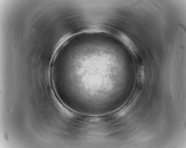 X0000098001484200803241330