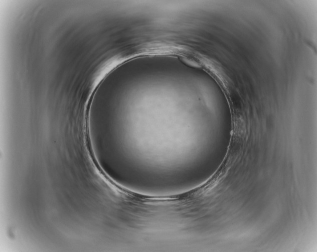 X0000098001487200803241330