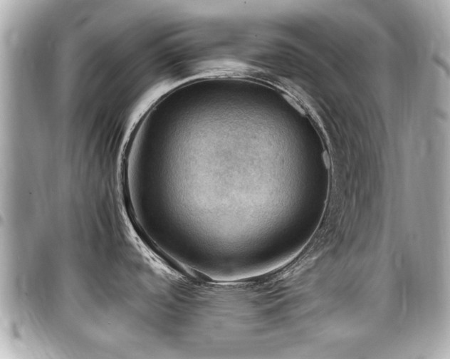 X0000098001488200803241330