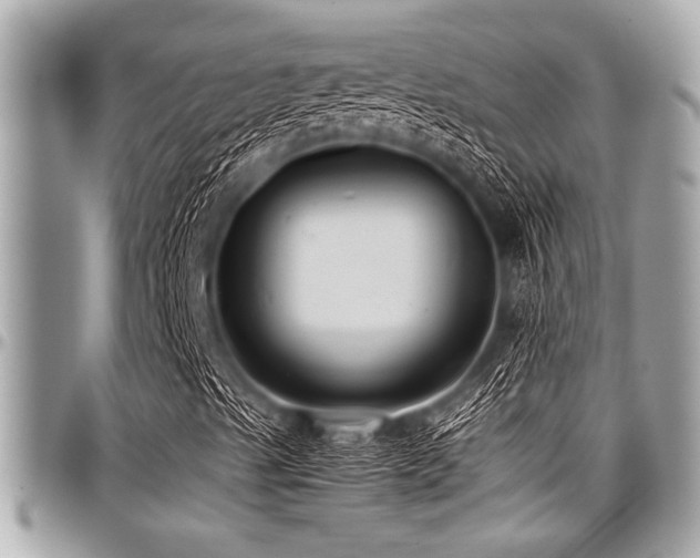 X0000098001489200803241330