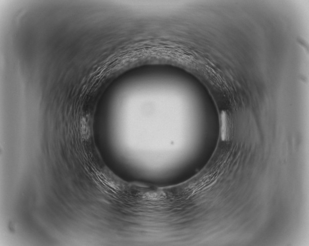X0000098001491200803241330