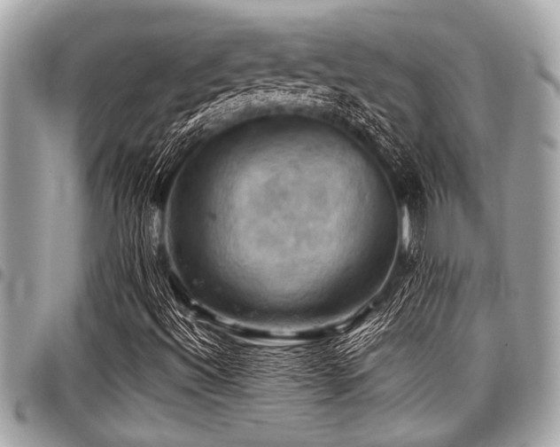 X0000098001492200803241330