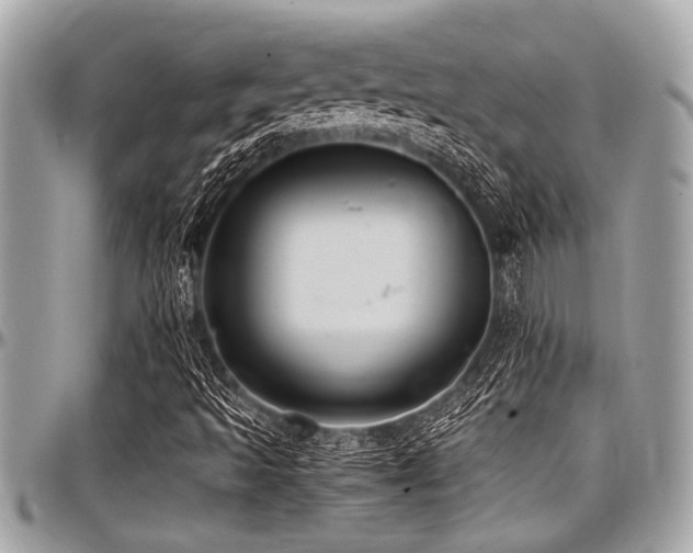 X0000098001493200803241330