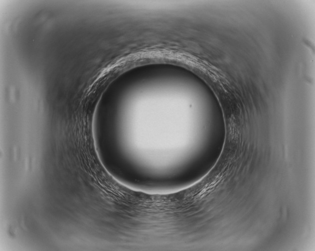 X0000098001494200803241330