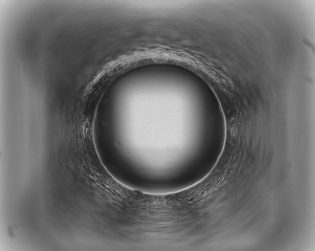 X0000098001495200803241330