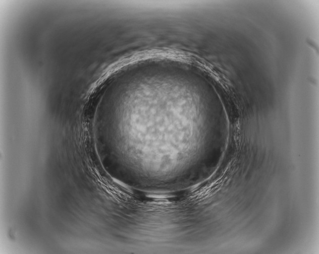 X0000098001496200803241330