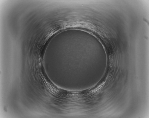 X0000098001497200803241330
