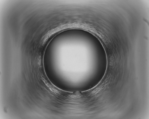 X0000098001499200803241330