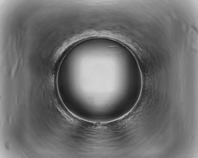 X0000098001503200803241330