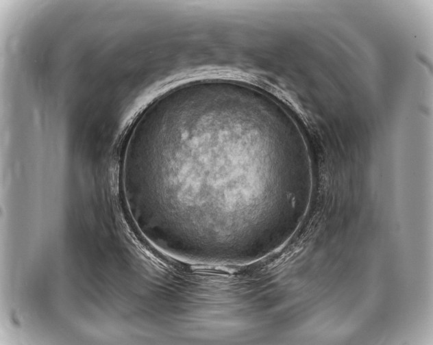 X0000098001504200803241330