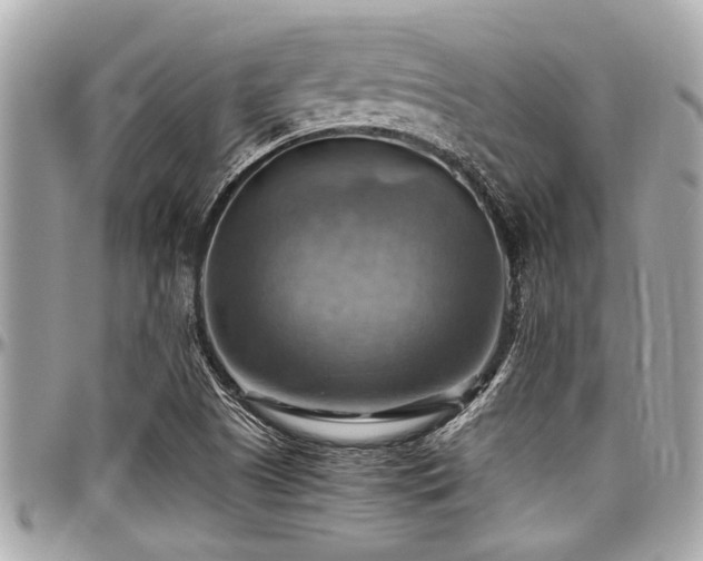 X0000098001505200803241330