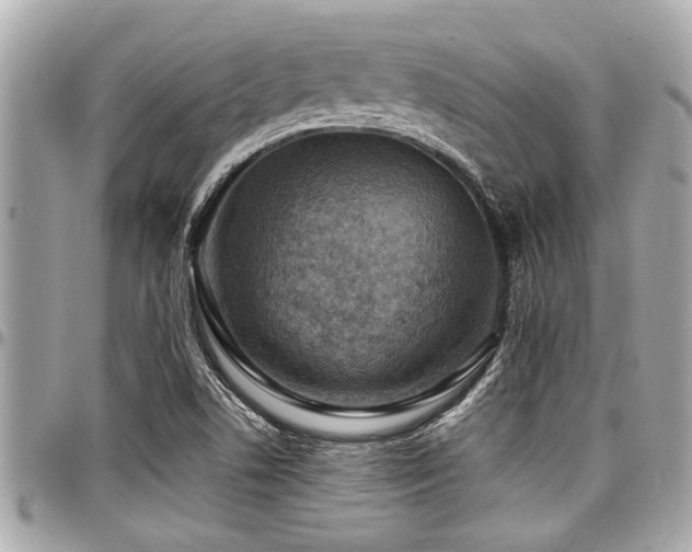 X0000098001506200803241330