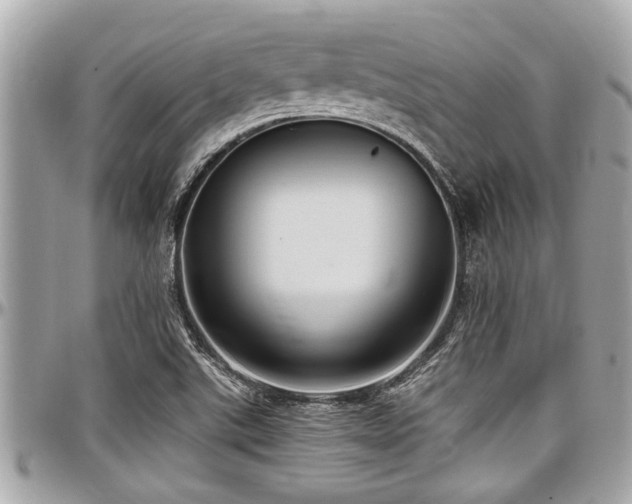 X0000098001507200803241330