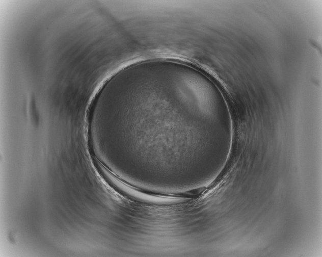 X0000098001508200803241330
