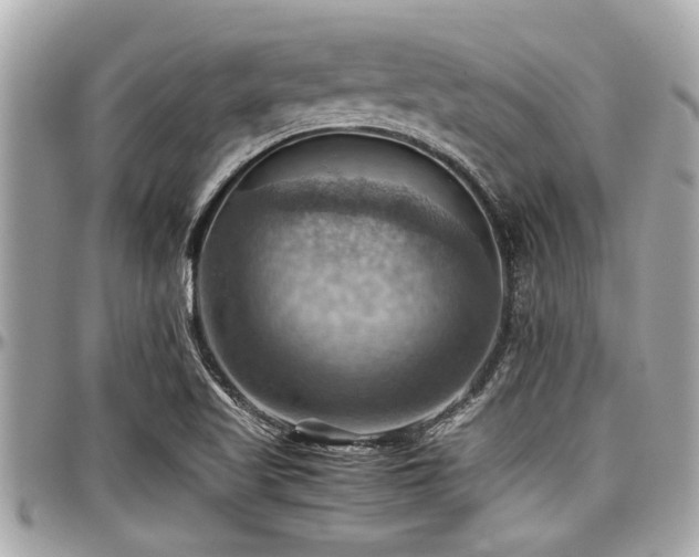 X0000098001509200803241330