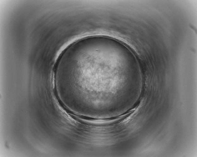 X0000098001510200803241330