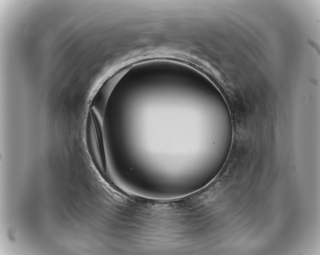 X0000098001512200803241330