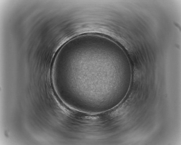 X0000098001513200803241330