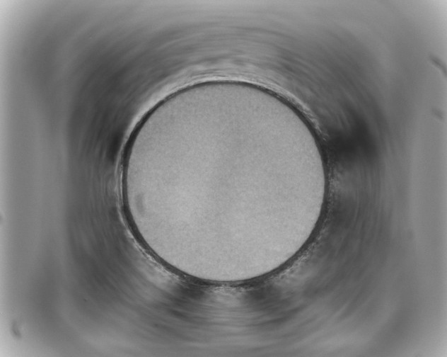 X0000098001514200803241330